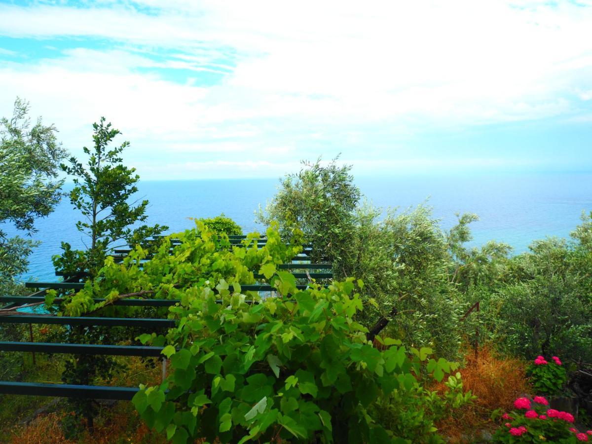 Felitsia Apartments & Studios Agios Ioannis  ภายนอก รูปภาพ