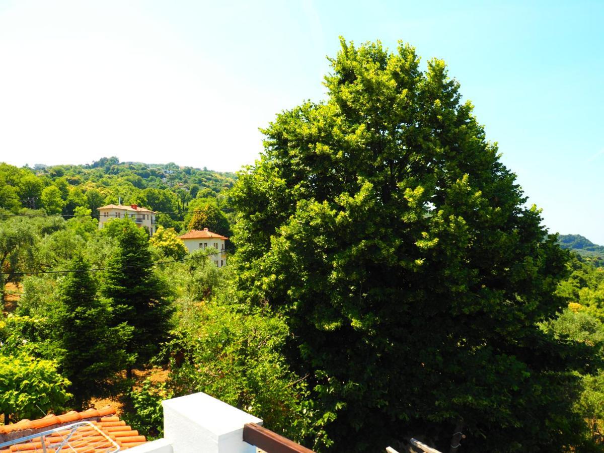 Felitsia Apartments & Studios Agios Ioannis  ภายนอก รูปภาพ