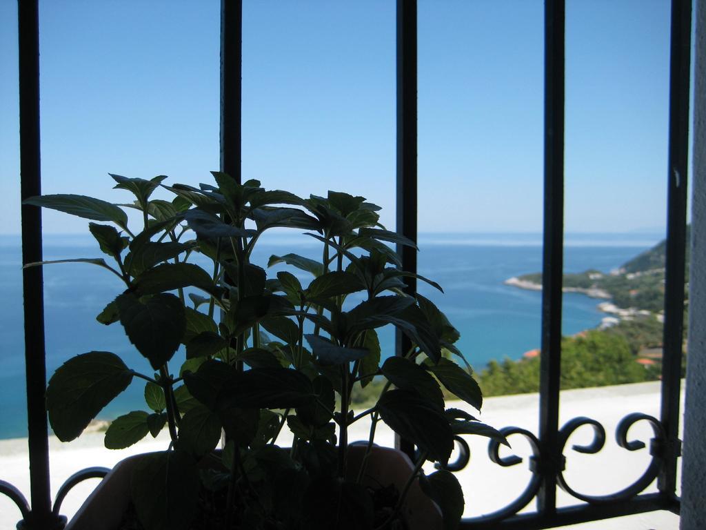 Felitsia Apartments & Studios Agios Ioannis  ภายนอก รูปภาพ