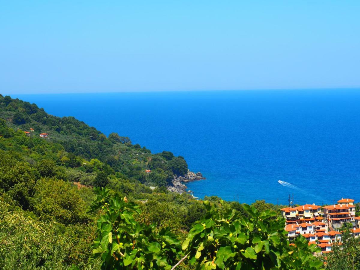 Felitsia Apartments & Studios Agios Ioannis  ภายนอก รูปภาพ