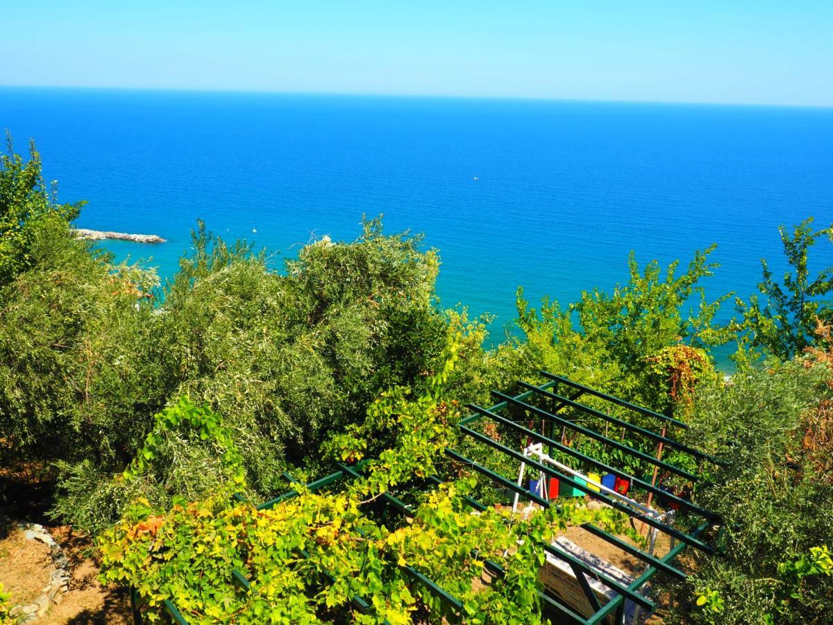 Felitsia Apartments & Studios Agios Ioannis  ภายนอก รูปภาพ